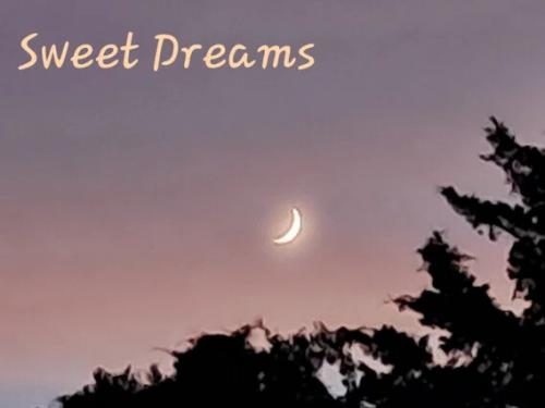 21:29:44 GMT-0500