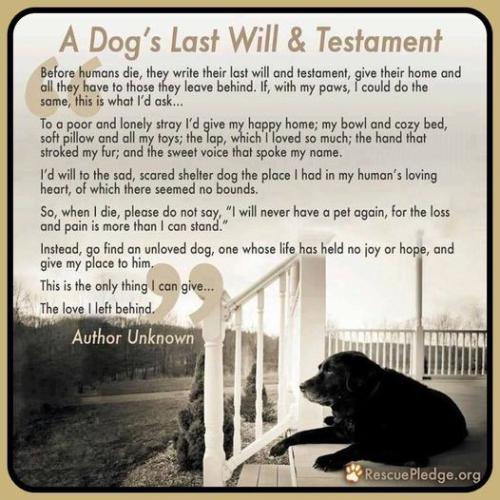 dogs last will