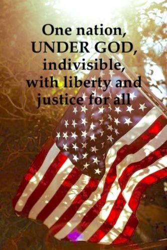 pledge 116