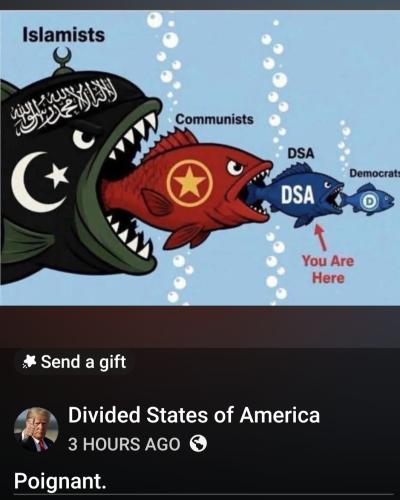 Screenshot_20260806_125830_Facebook