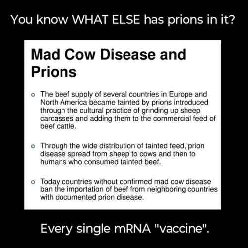 prions