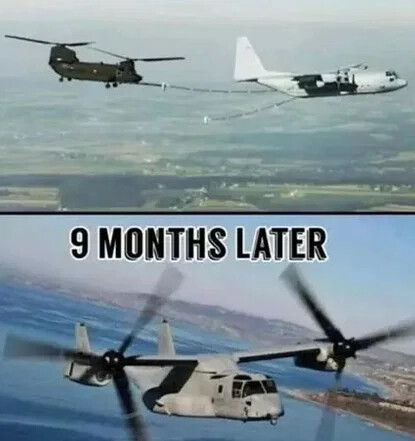 9-months-later