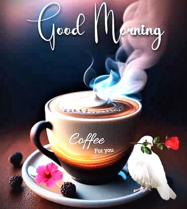 081226 - GM Coffee, dove
