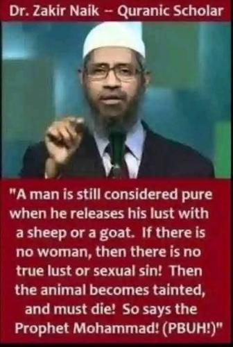 a sheep f