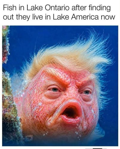 786287902_1081570647883919_2611260381210786513_n