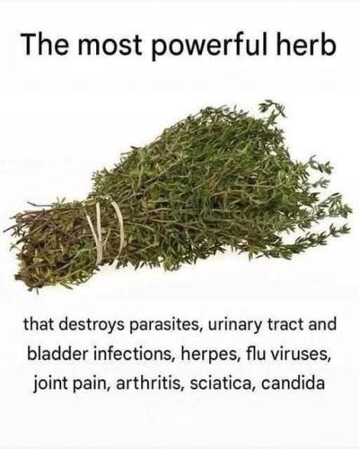 Wow