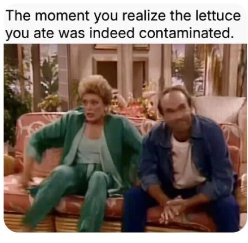 lettuce-was-contaminated