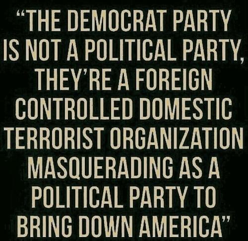 Democrats are Domestic Enemies 1