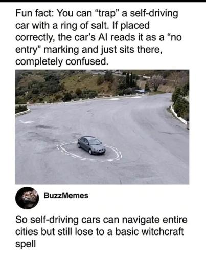 self-drive-car-salt-trap