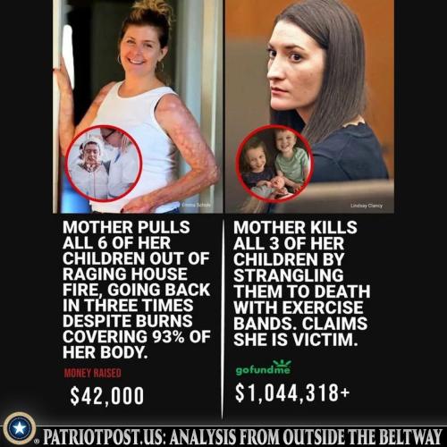 meme-money-raised-schols-vs-clancy