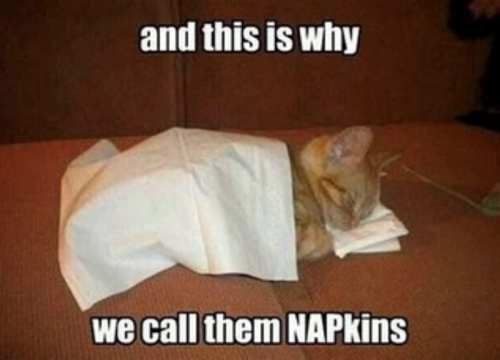 and-this-is-why-call-them-napkins