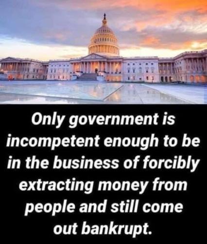 government incompetent