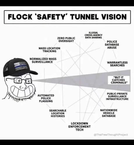 flock-tunnel-vision