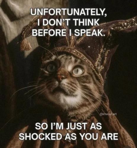 i-don't-think-before-i-speak