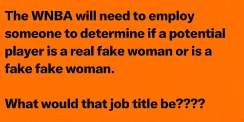 wnba-decide-real-fake-or-fake-fake