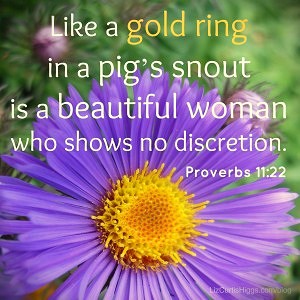 081426 - Ring in pigs snout Proverbs 11-22