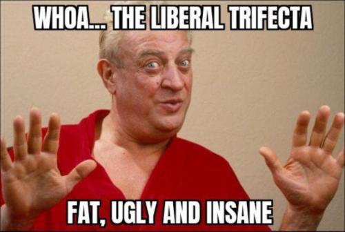 liberals381