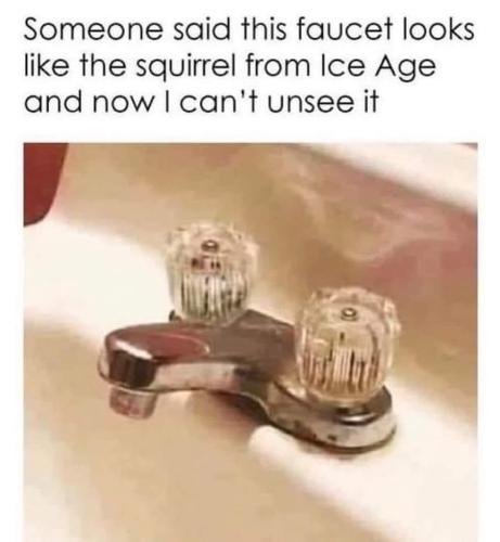 FB_IMG_1785585769419
