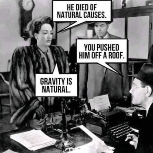 funny 648