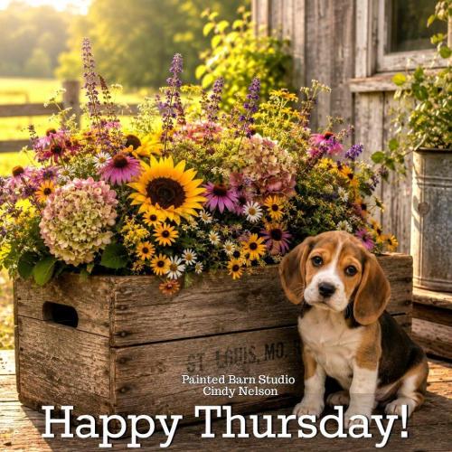Happy Thursday