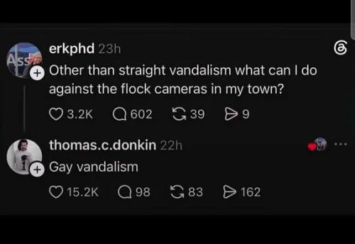 gay-vandalism