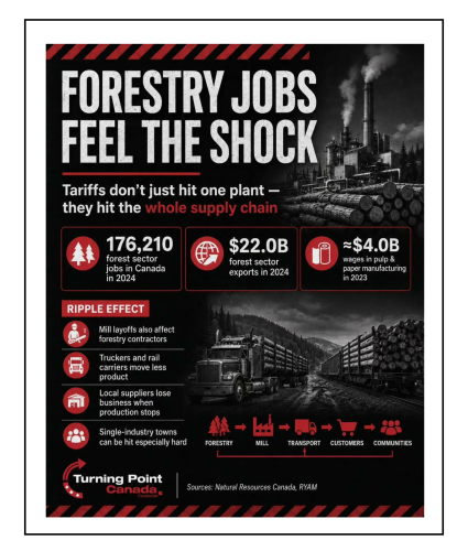 3 foresty jobs