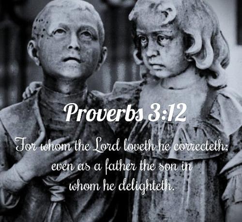 081526 - Whom the Lord loves; Proverb 3 - 12