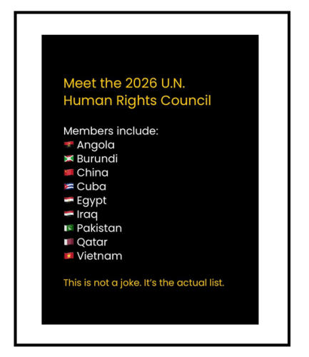 UN council