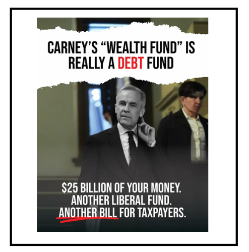 wealth fund