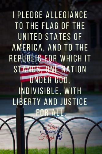 pledge 125