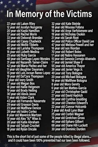 illegal immigration543