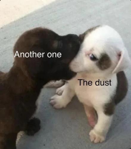 another-one-bites-the-dust