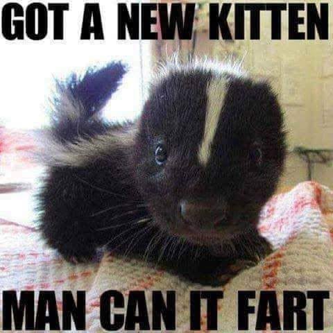 FB_IMG_1785726288155