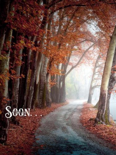 FALL SOON
