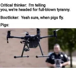when-pigs-fly
