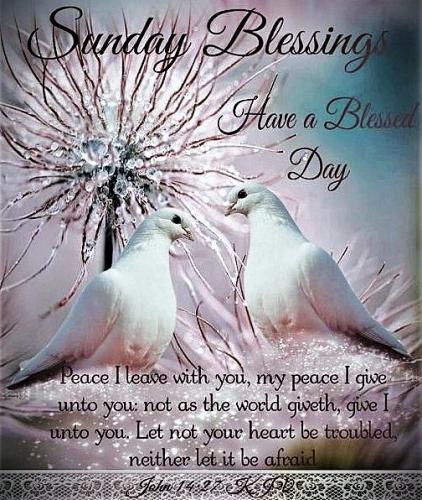081626 - Sunday Blessing; John14-27