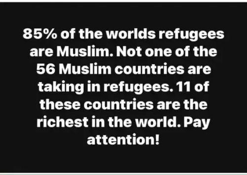 CAIR MUSLIMS WORLD