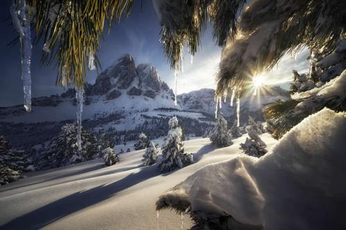 chromatic-awards-landscape-winners-06
