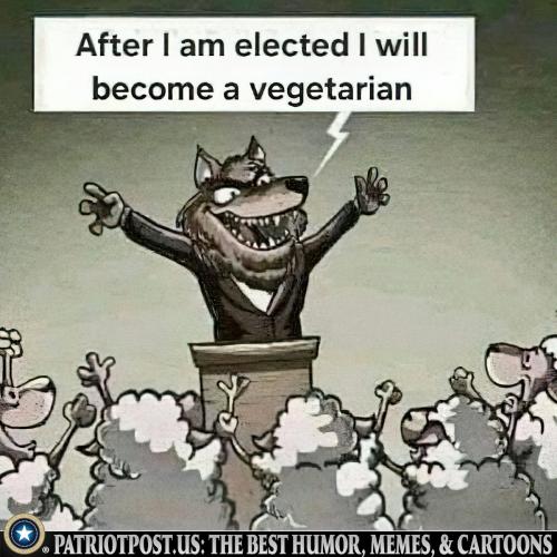 funny 638