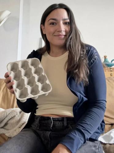 aoc-egg-carton