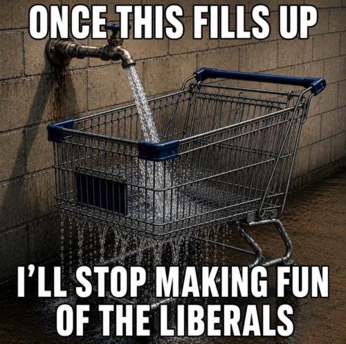 Once_this_fills_up_shopping_cart_funny_dem_lib