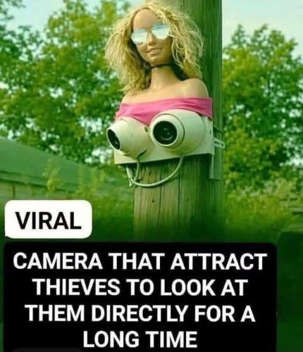 direct_camera_shot