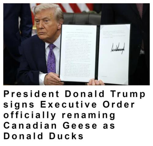 trump-eo-donald-ducks