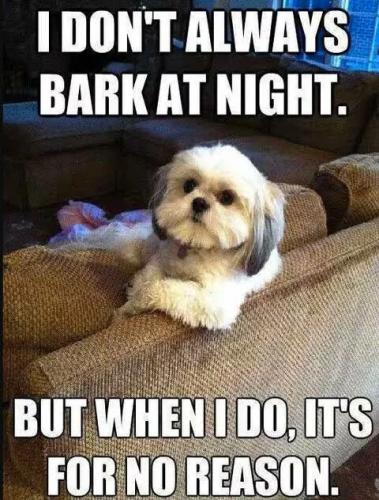 don't-always-bark-at-night