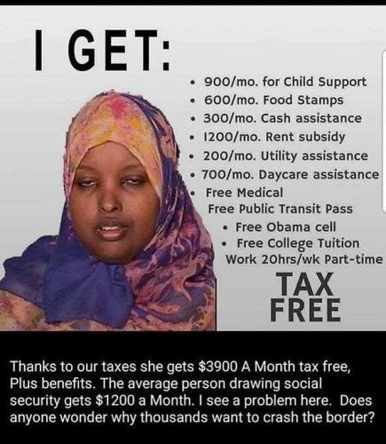 a free stuff f