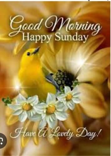 09:14:27 GMT-0400