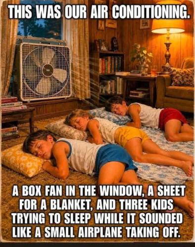 FB_IMG_1786413700839