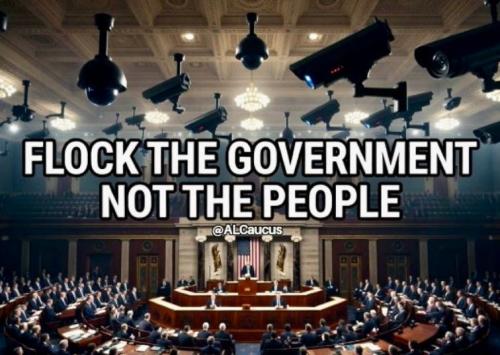 flock_the_government_not_the_people