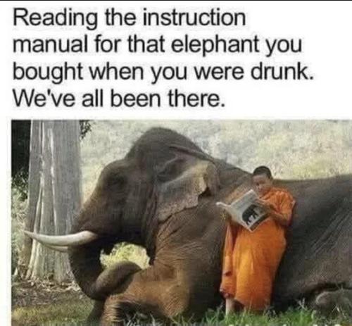 read-manual-for-elephant-bought-when-drunk