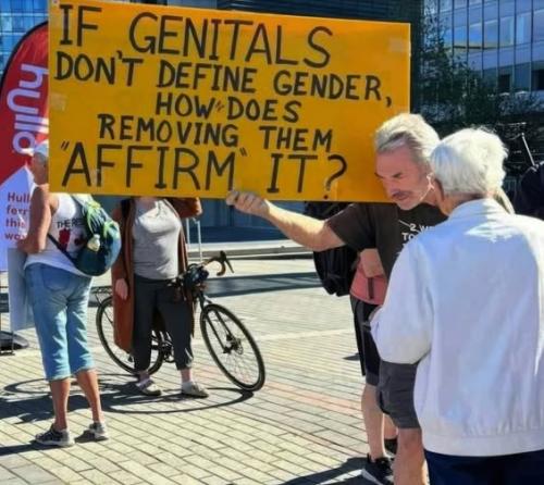 Genitals
